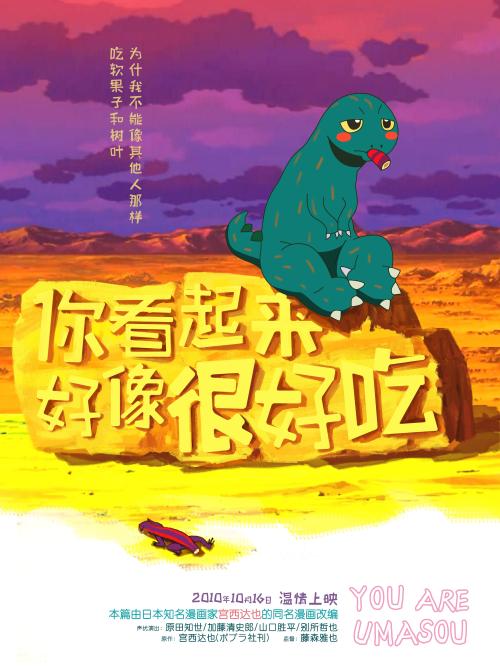 会计证哪里能买到